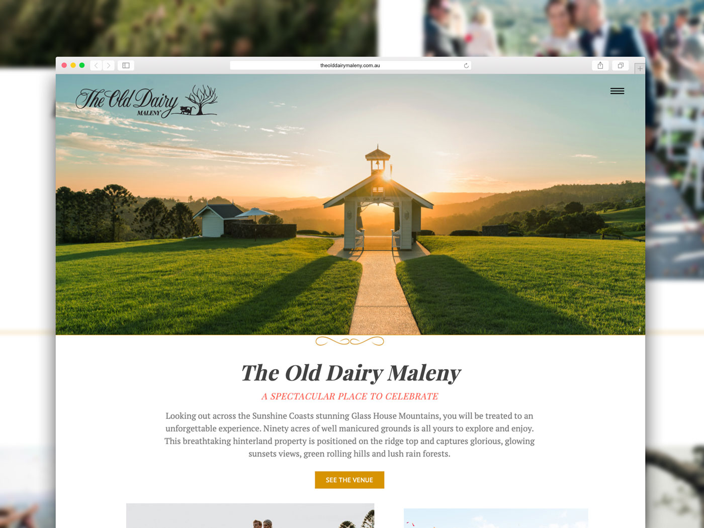 Old Dairy Maleny Website Redesign